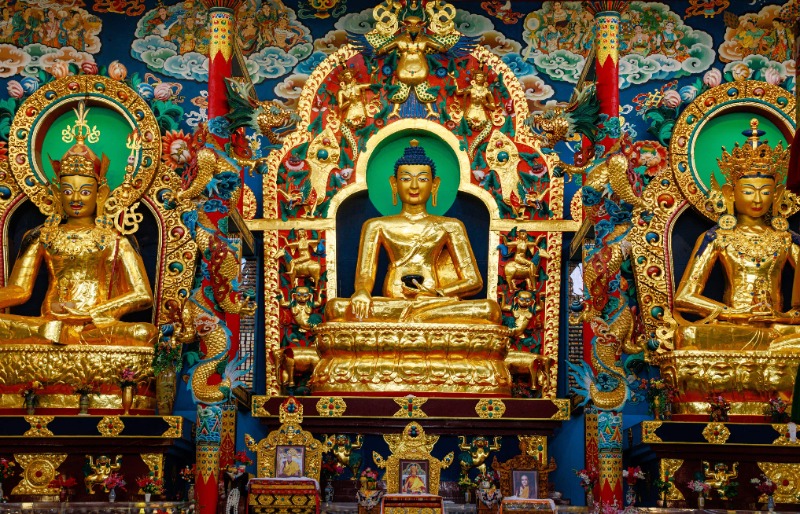 Coorg - Mysore