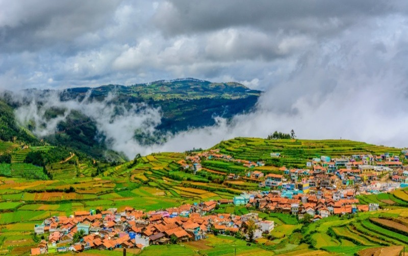 Coonoor - Ooty - Bandipur