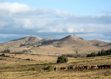 El Calafate - Buenos Aires (vol)