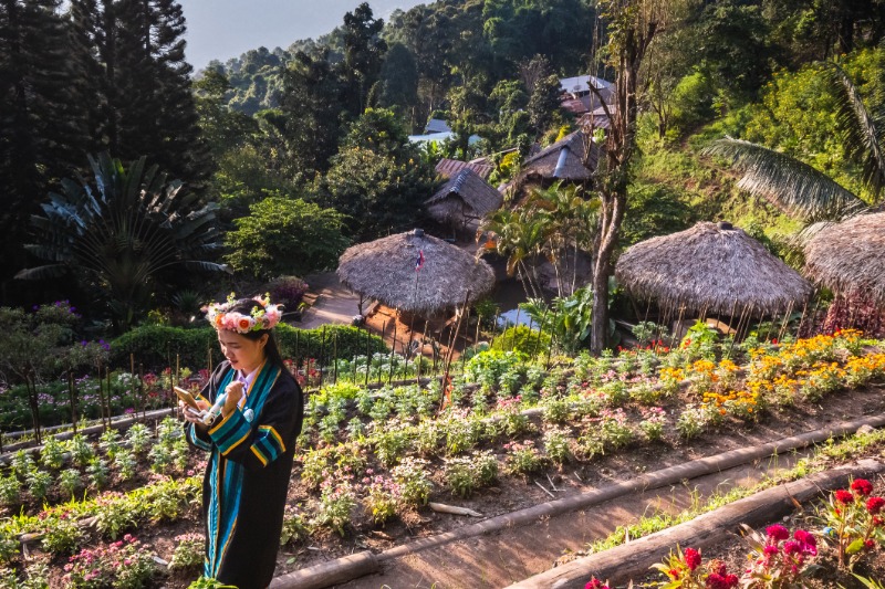 Chiang Mai  Village Hmong