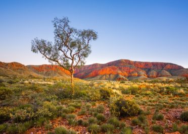 Kings Canyon - Alice Springs