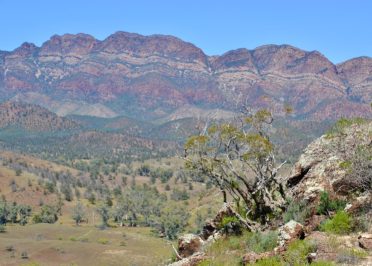 Adélaïde - Flinders Ranges