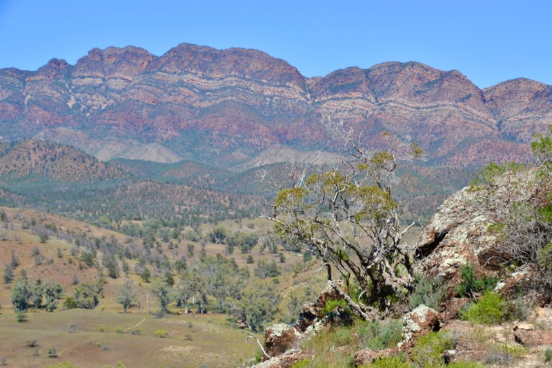 Adélaïde  Flinders Ranges
