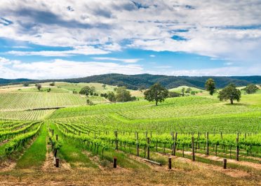 Flinders Ranges - Adélaïde
