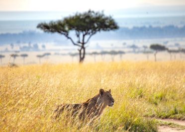 Karatu - Parc national de Tarangire
