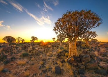 Kalahari - Fish River Canyon