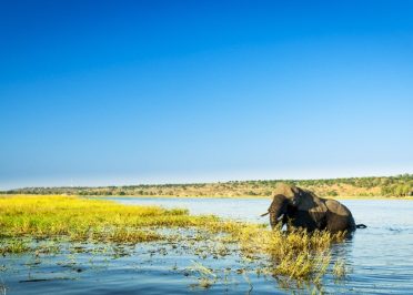 Kasane - Johannesburg