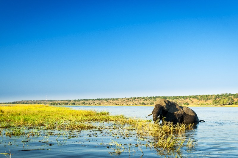 Kasane  Johannesburg