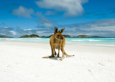 Arrivé à Montréal
