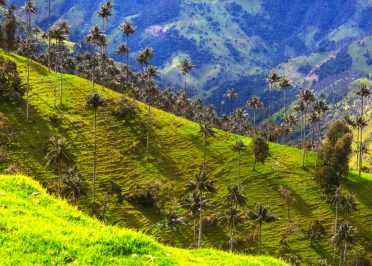 Arménia - Salento - Armenia