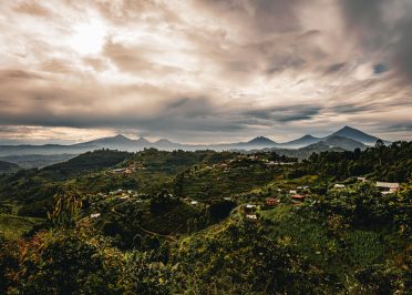 Parc National de la Forêt Impénétrable de Bwindi -  Parc National des Volcans