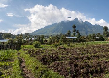 Parc National des Volcans - Rubavu