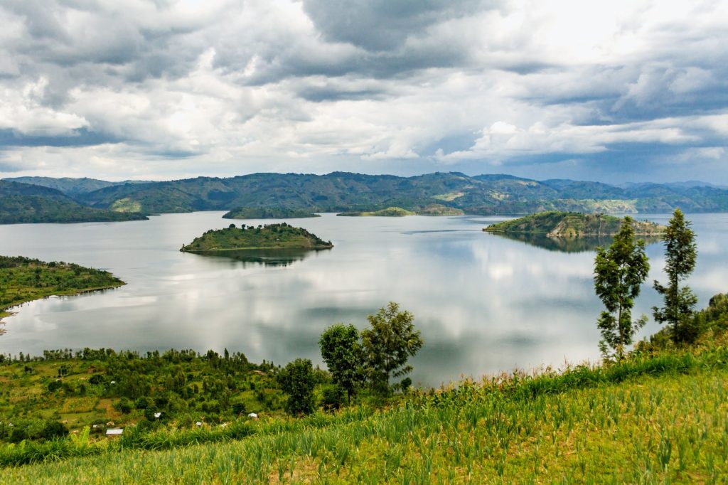Rubavu  Région de Nyungwe