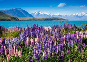 Wanaka - Christchurch