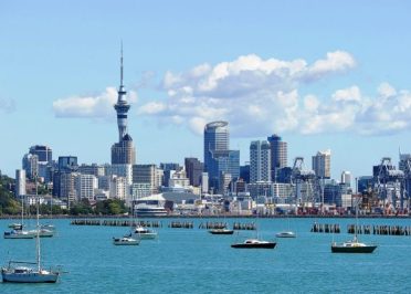 Vol Sydney - Auckland