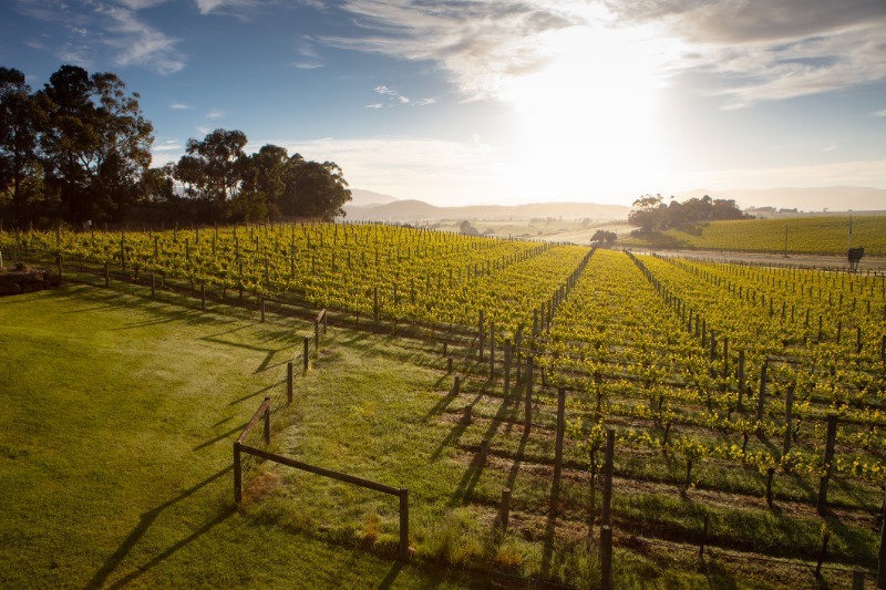 Melbourne - Yarra Valley