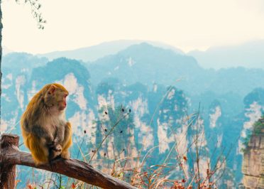 Zhangjiajie