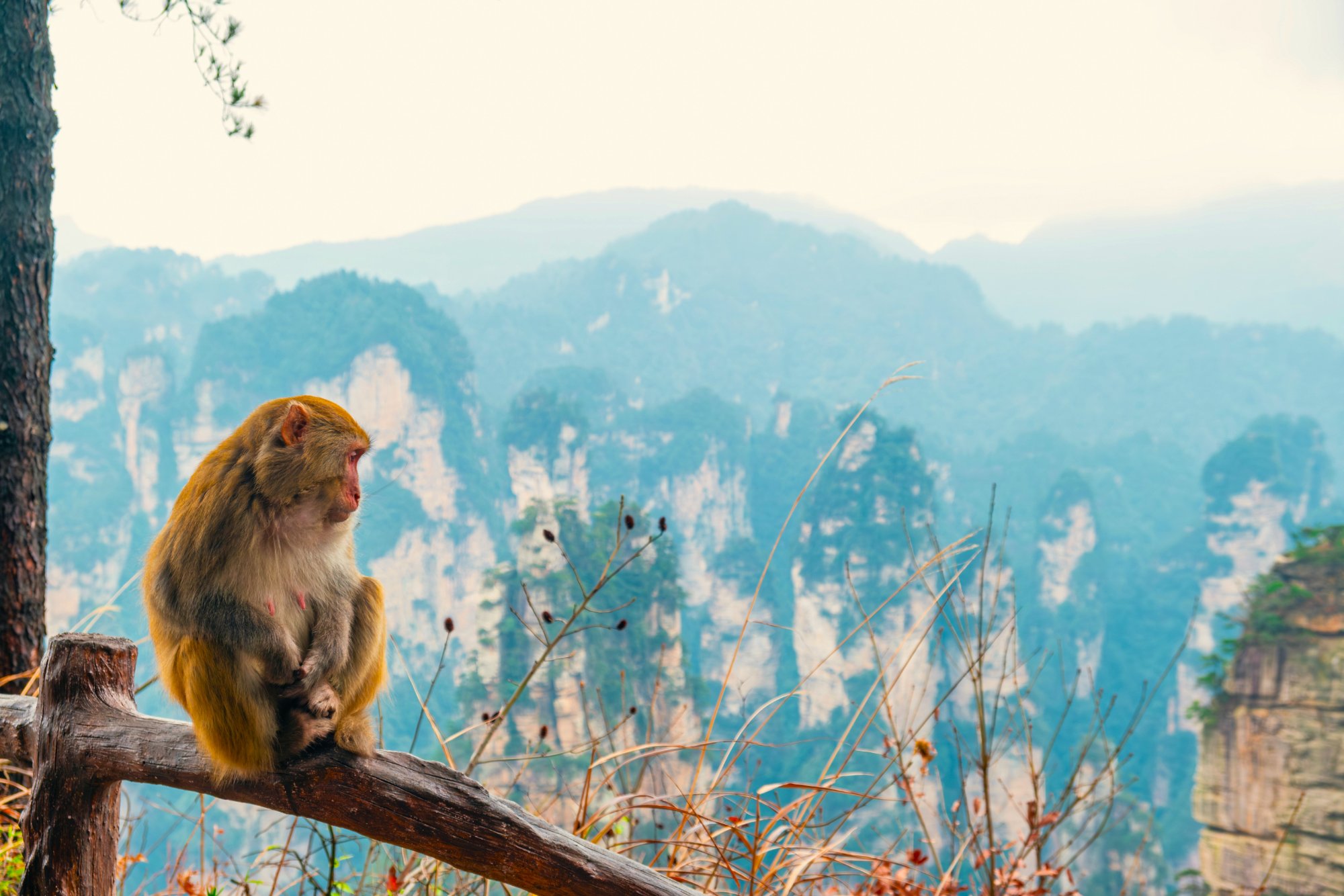 Zhangjiajie