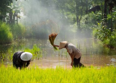 Ho Chi Minh - Ben Tre - Can Tho