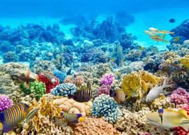 Hurghada