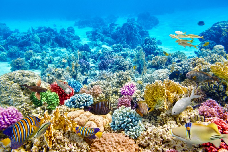 Hurghada