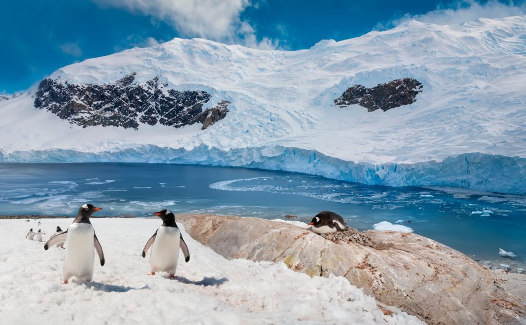 Passion Ponant : L’Antarctique emblématique