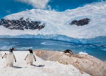 Passion Ponant : L&rsquo;Antarctique emblématique