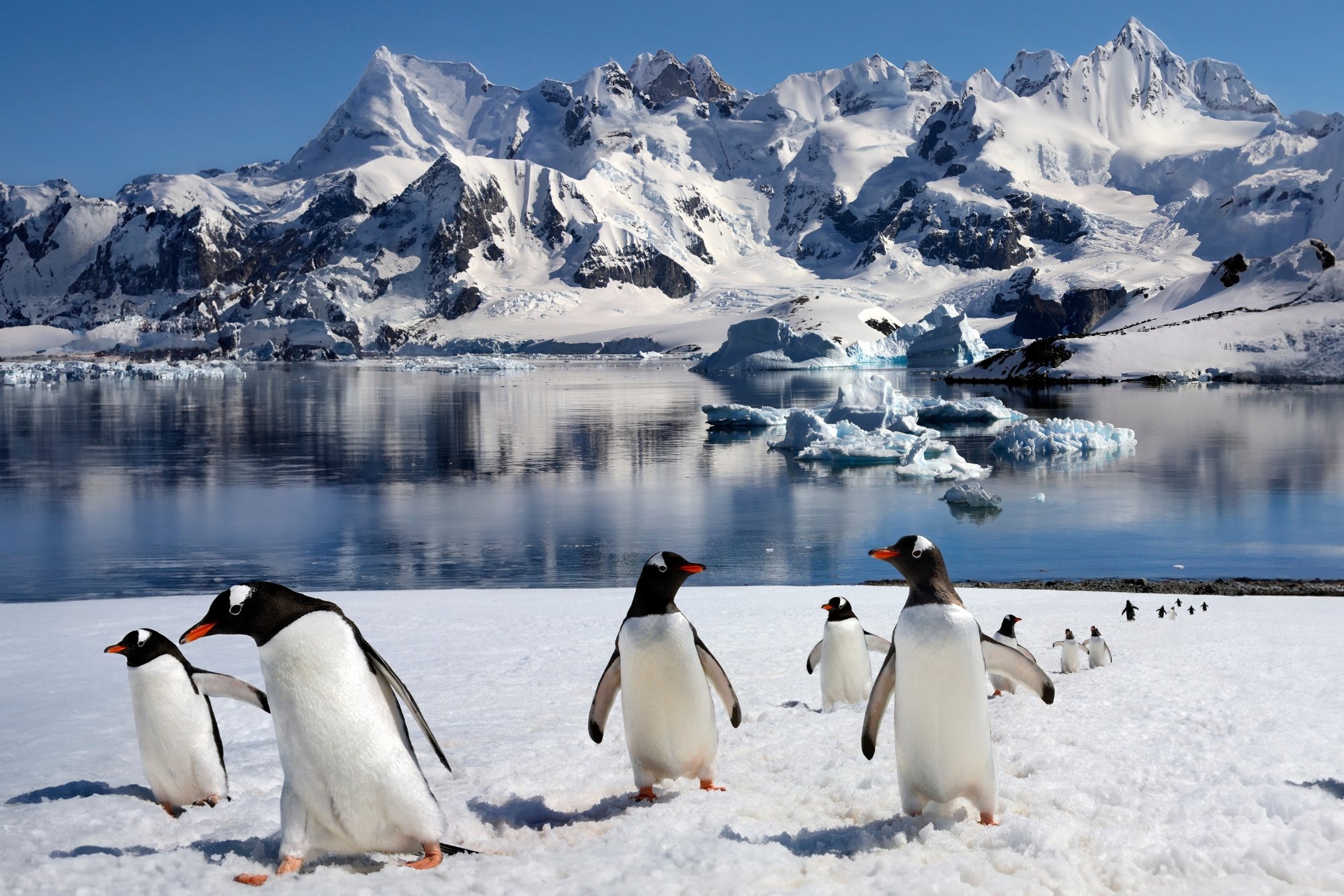 Péninsule Antarctique
