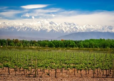 Mendoza