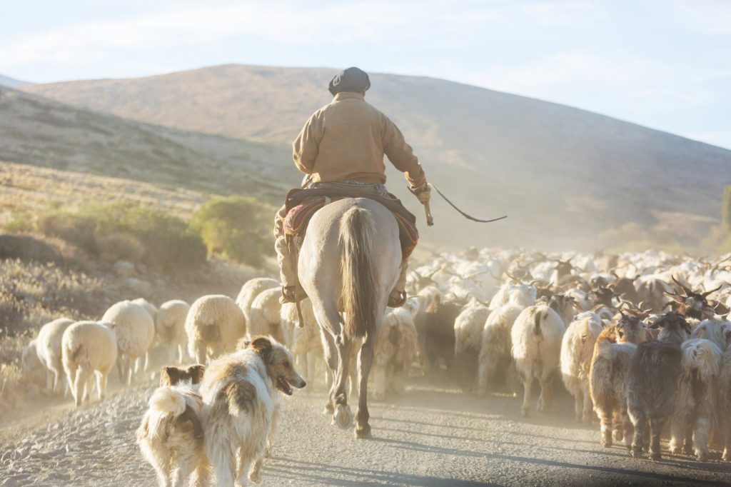 Buenos Aires  Région de la Pampa