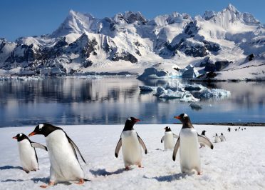 Péninsule Antarctique