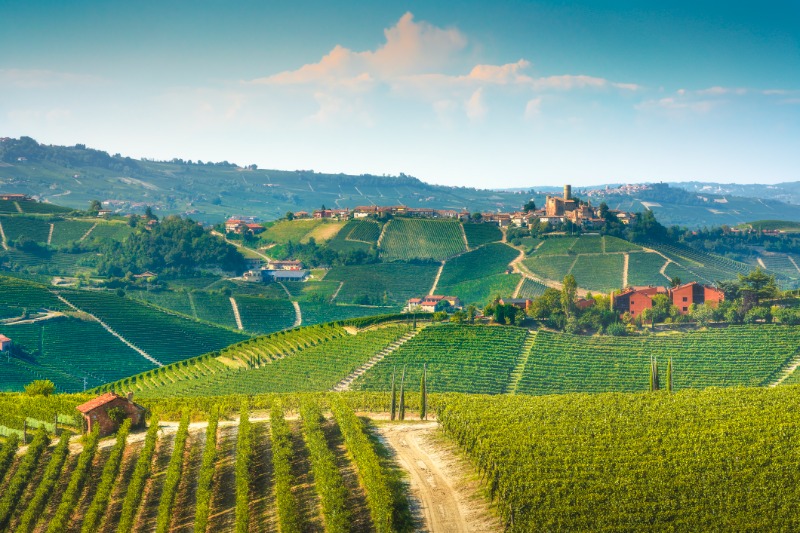 Alba  Barolo - Grinzane Cavour - Alba