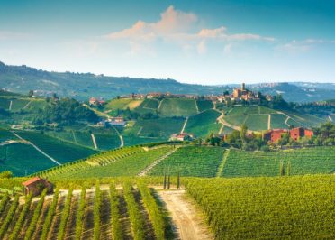 Alba - Barolo - Grinzane Cavour - Alba