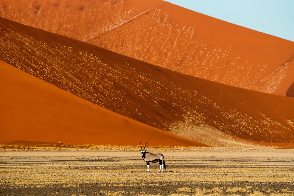 Parc national de NamibNaukluft - Sossusvlei