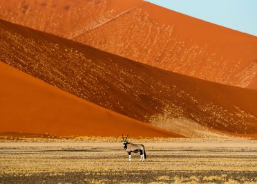 Parc national de Namib-Naukluft - Sossusvlei