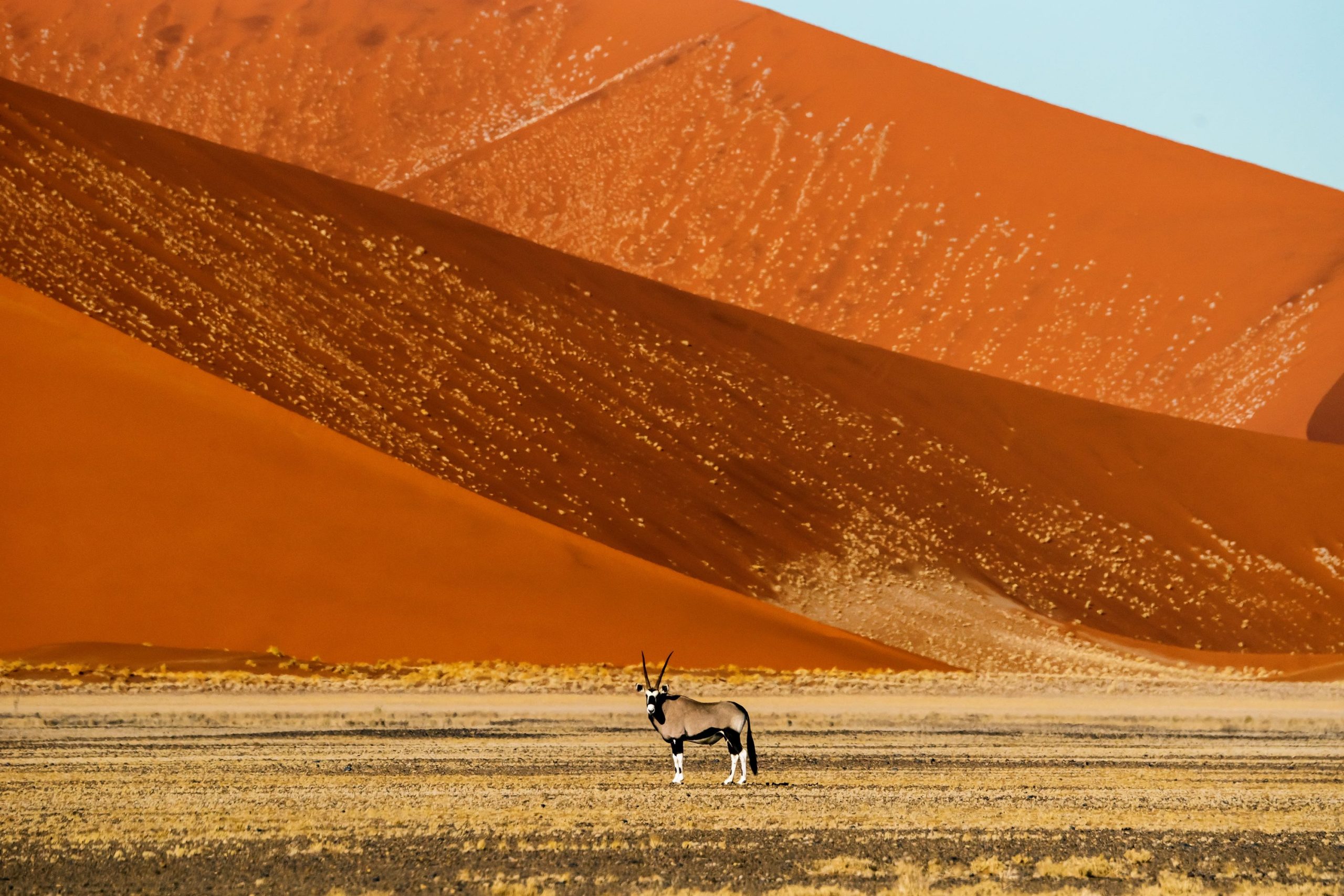 Parc national de Namib-Naukluft - Sossusvlei