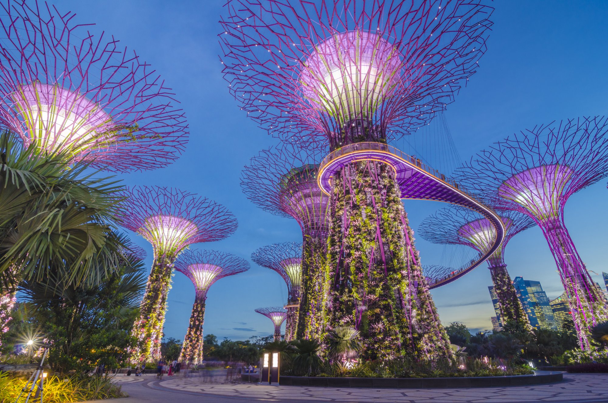 Singapour