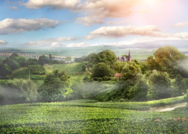 Paris - Château Thierry - Reims