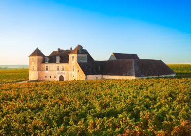 Dijon - Beaune