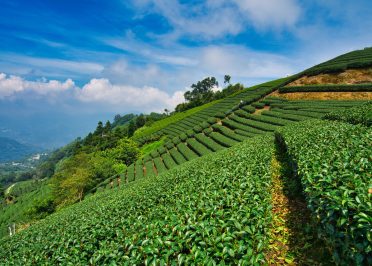 Jeju - Gwangji - Boseong - Sucheon
