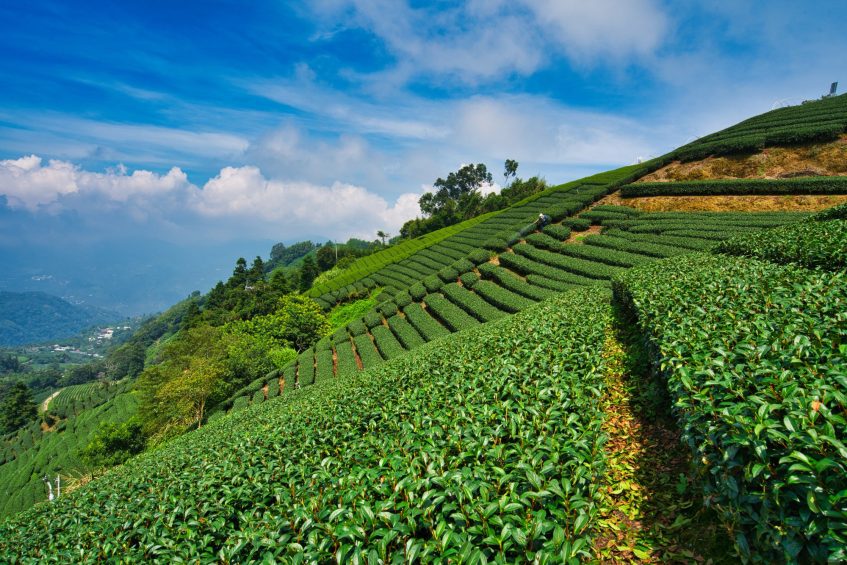 Jeju - Gwangji - Boseong - Sucheon