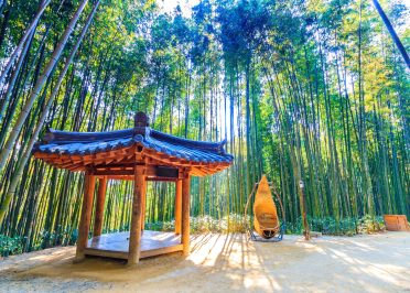 Suncheon - Damyang - Hwaeomsa - Jeonju