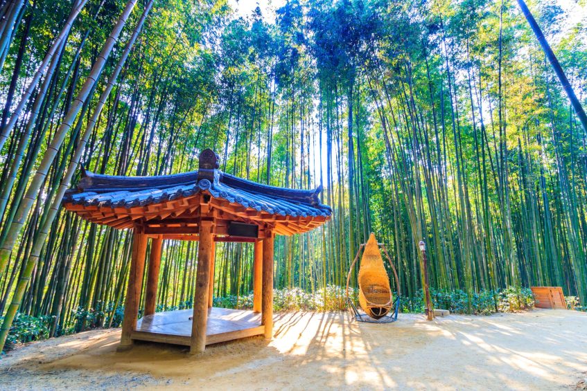 Suncheon - Damyang - Hwaeomsa - Jeonju
