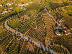 La vallée du Douro : berceau du vin de Porto et joyau du Portugal
